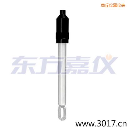 商丘無溫補兩線電導率電極